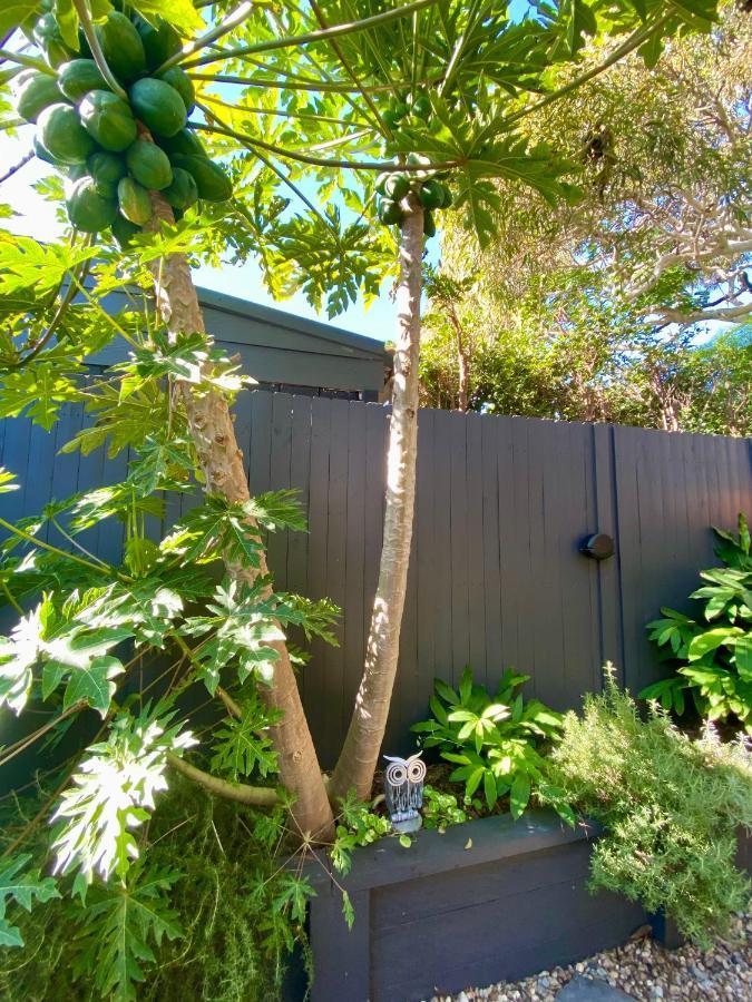 The Mitchell Bondi Garden 4 Lägenhet Sydney Exteriör bild